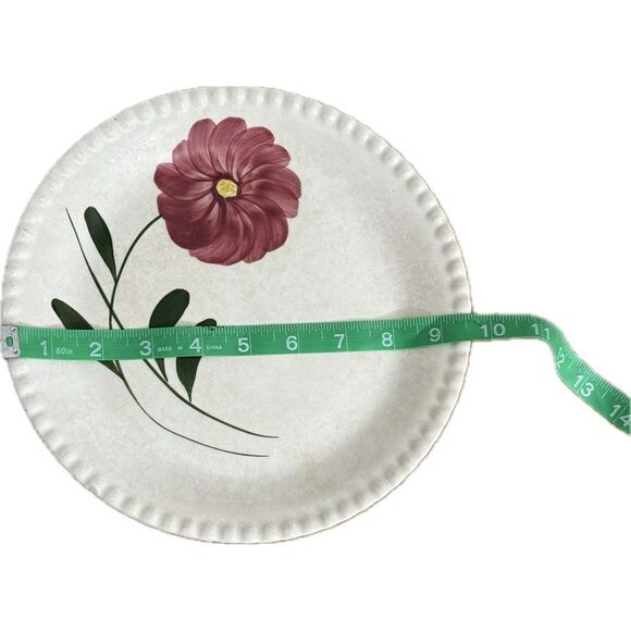 Vintage Blue Ridge Southern Pottery
Mountain Rose Dinner Plate - Picture 2 of 5